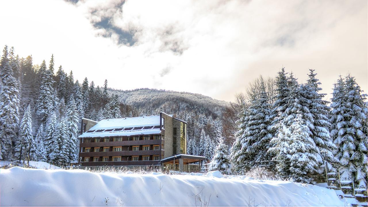 Lux Garden Hotel Azuga Exterior foto The hotel in 2014
