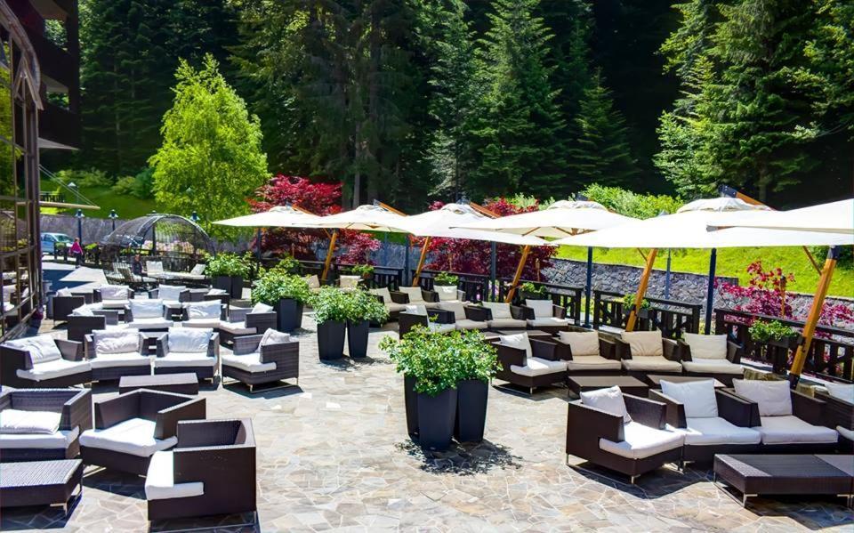 Lux Garden Hotel Azuga Exterior foto The Terrace at the Hotel